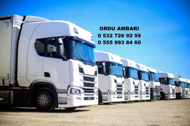 ordu ambarı
